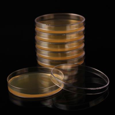 Disposable Dre-filled Petri Dishes